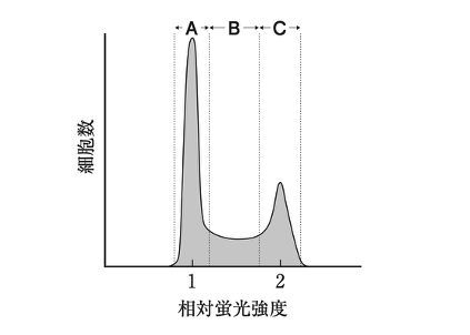 解説画像